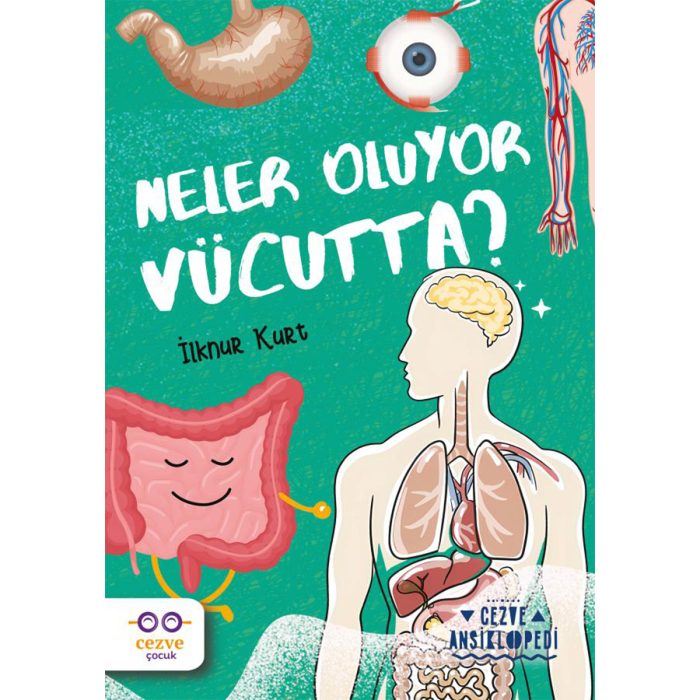 Neler Oluyor Vücutta ? – Cezve Ansiklopedi şifa diyarı